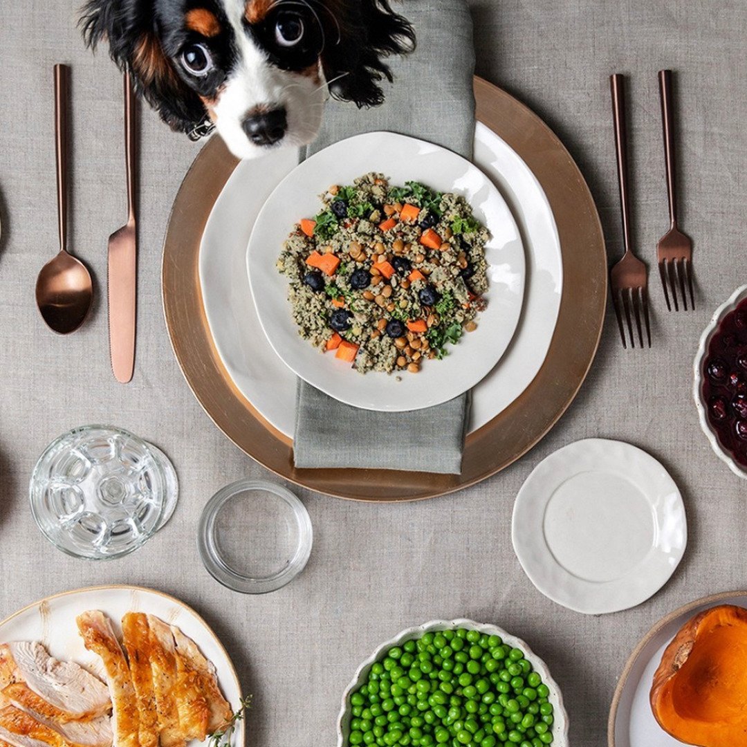 My Dog Isn’t Just My Best Friend. This Year, He’s Also My Clean-Eating Partner in Crime