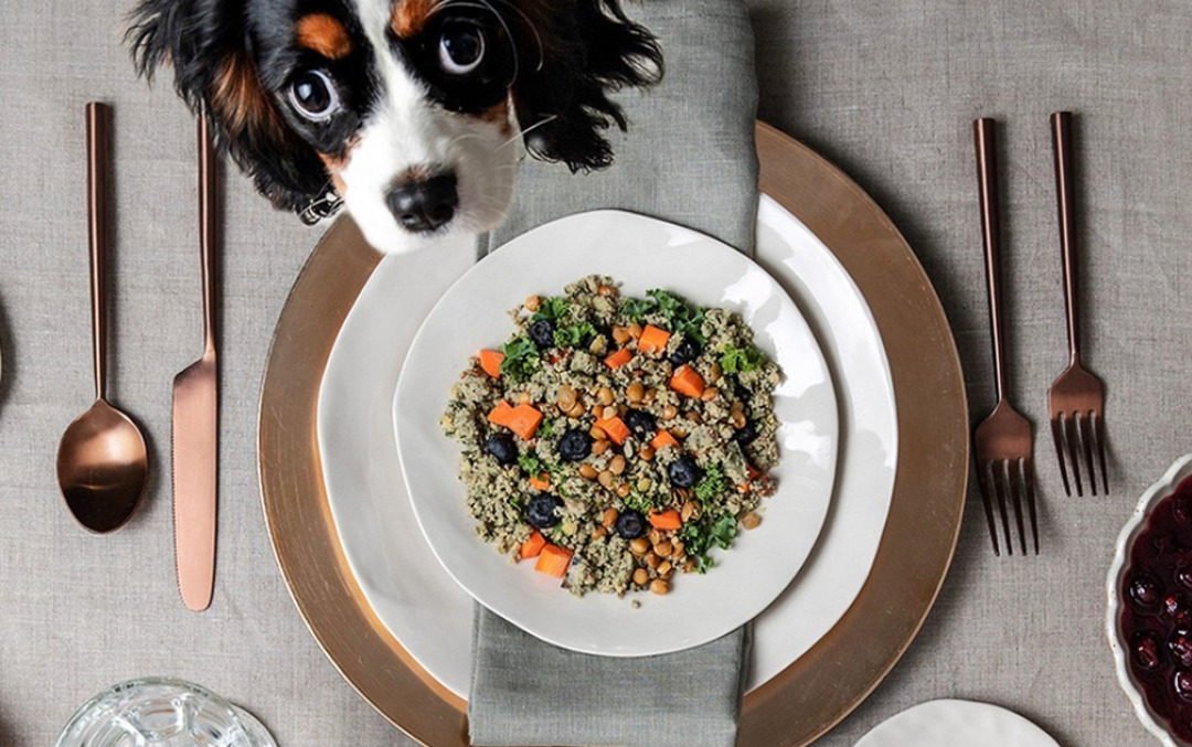 My Dog Isn’t Just My Best Friend. This Year, He’s Also My Clean-Eating Partner in Crime
