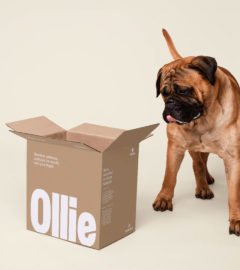 As a Four-Legged Food Snob, Ollie’s Fresh Meals Are the Only Food I’ll Wag My Tail At